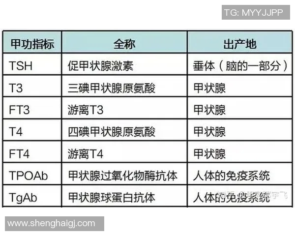 新型竞技赛事规则解析与实施细则全面解读