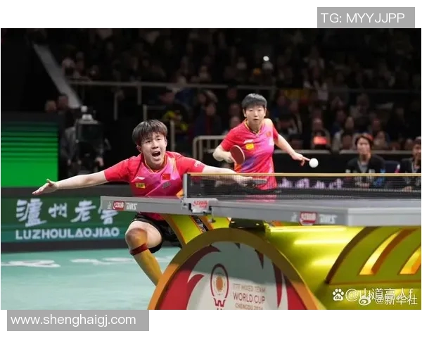 南京乒乓球队战术变革引发热议新策略助力球队重塑辉煌 南京乒乓球队战术变革引发热议新策略助力球队重塑辉煌