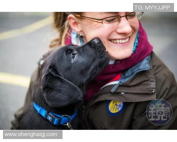 李芳独家分享羽毛球技巧与心得助你提升竞技水平与乐趣 李芳独家分享羽毛球技巧与心得助你提升竞技水平与乐趣