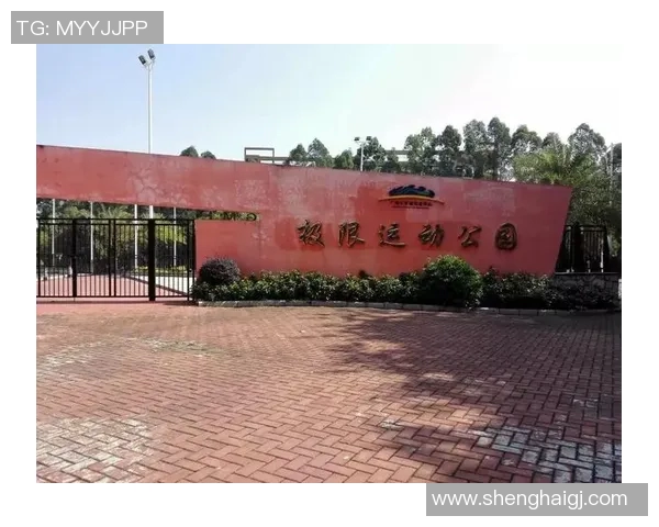 广州极限运动队的阵地战成败分析与未来发展展望 广州极限运动队的阵地战成败分析与未来发展展望